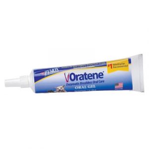 Oratene 三酵合一口腔軟膏 28g